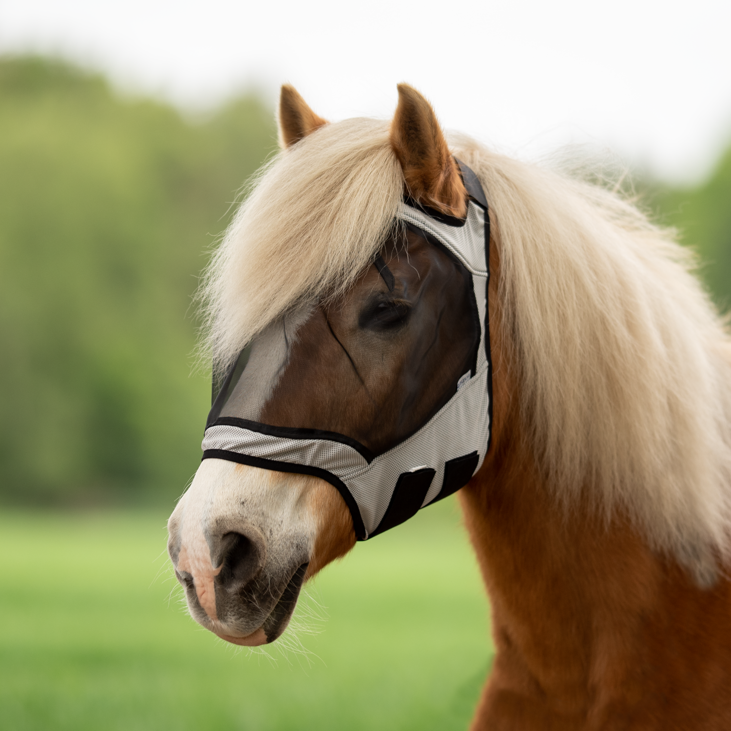 Busse Vliegenmasker Fly Guard Free
