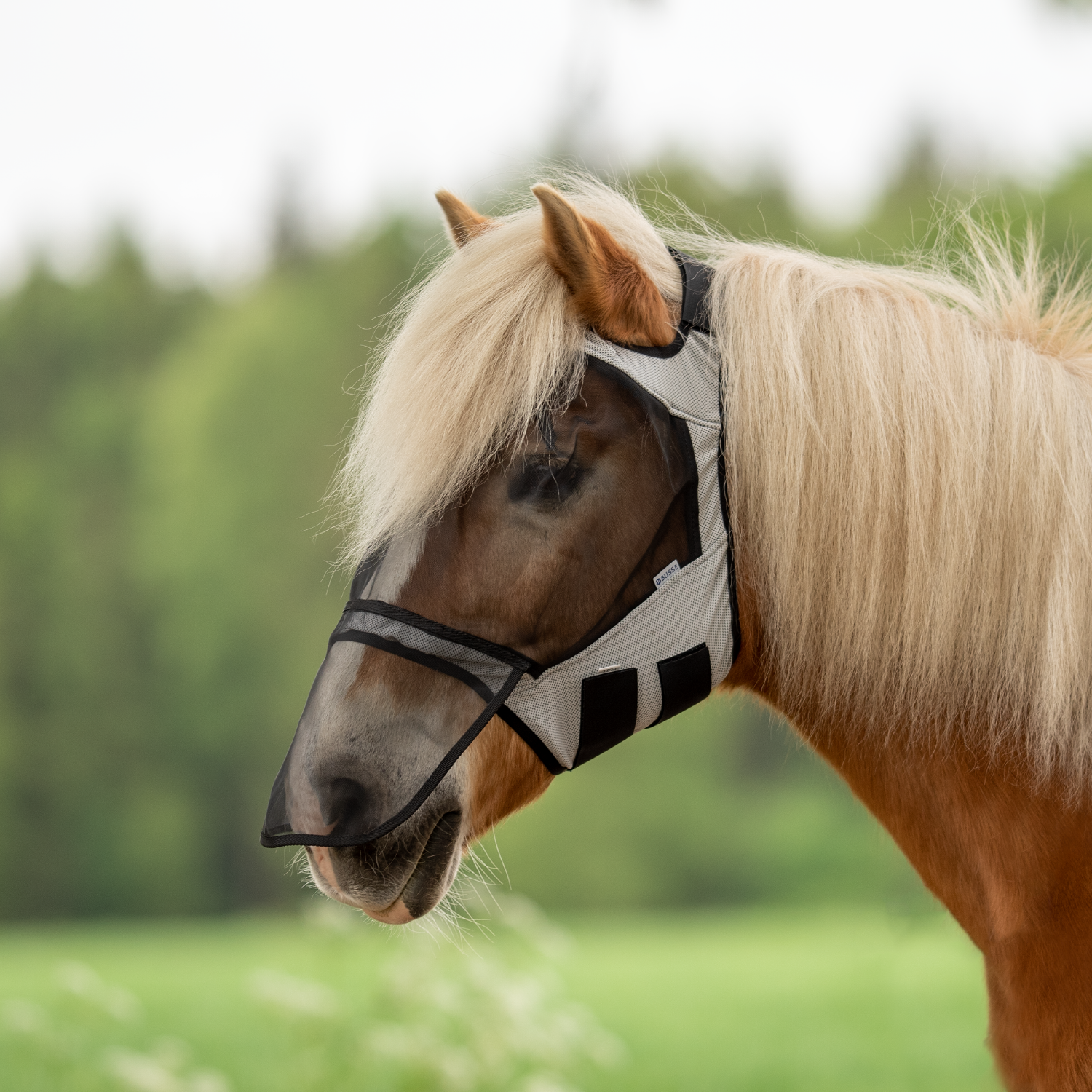 Busse Vliegenmasker Fly Guard Free Plus