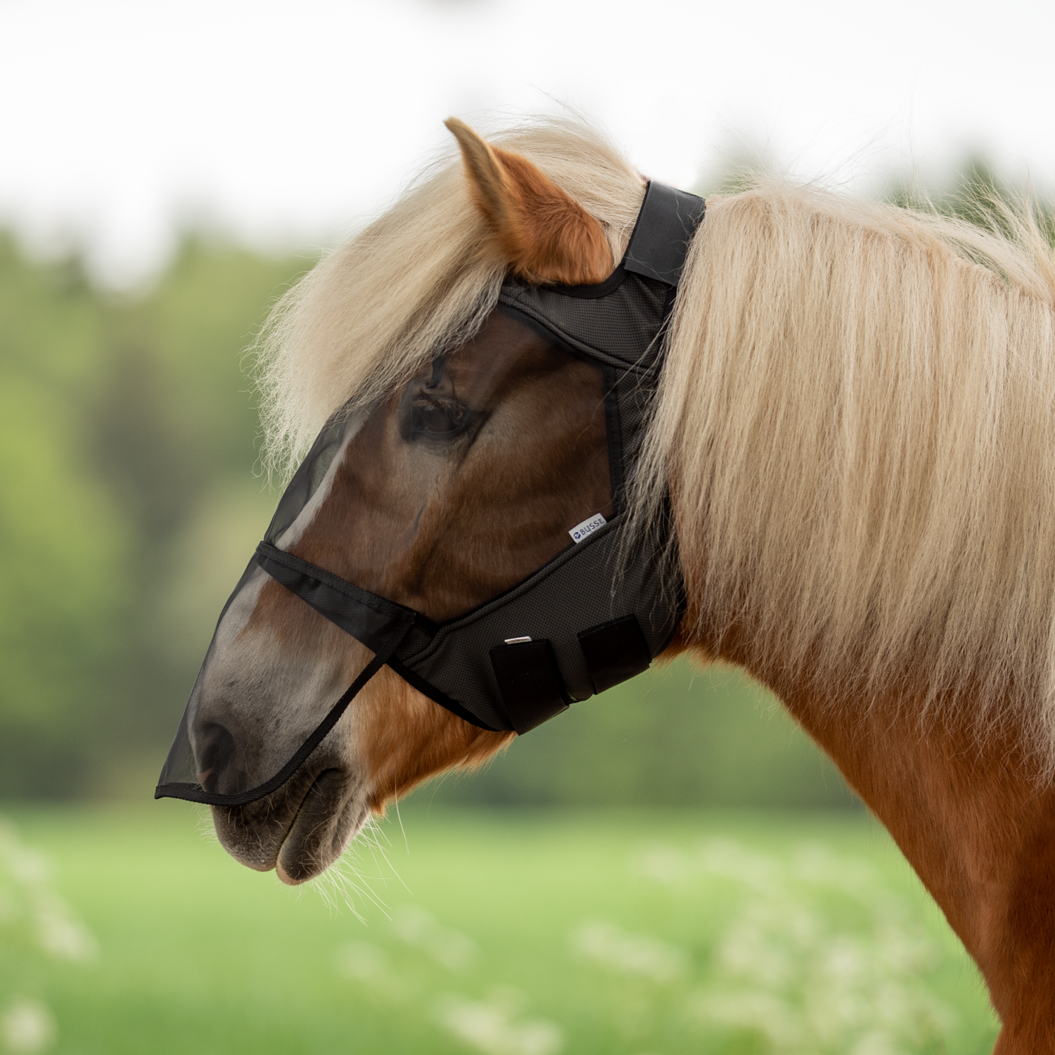 Busse Vliegenmasker Fly Guard Free Plus