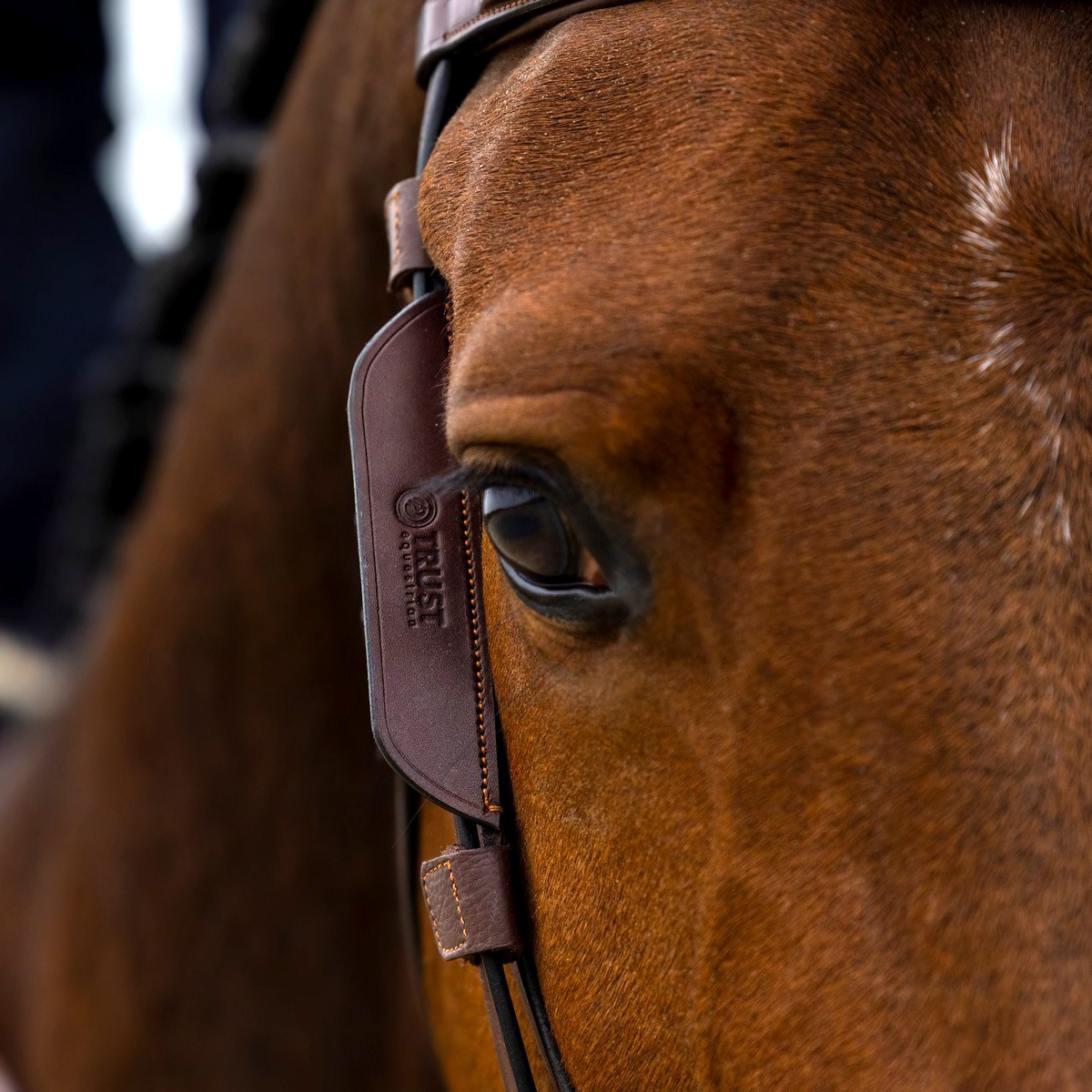 Trust Blinkers