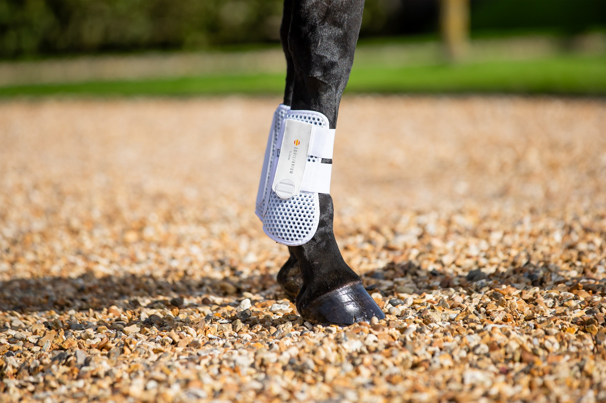 Equilibrium Tri-Zone Open Front Tendon Boots