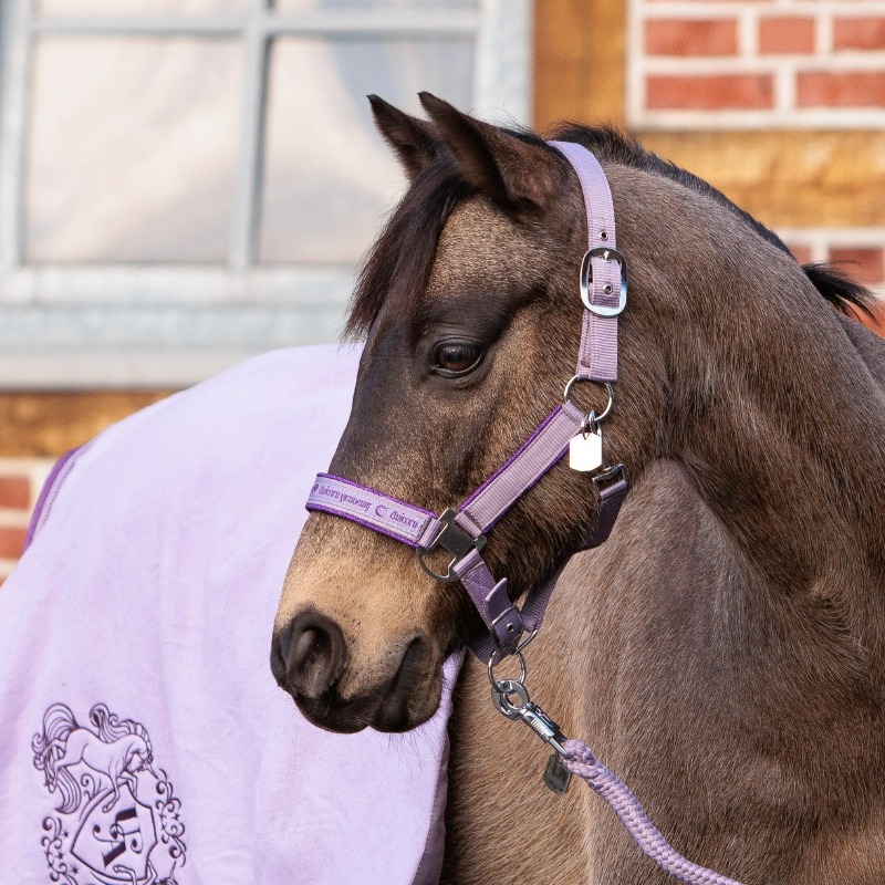 Kavalkade x Unicorn Academy Glitter Halster