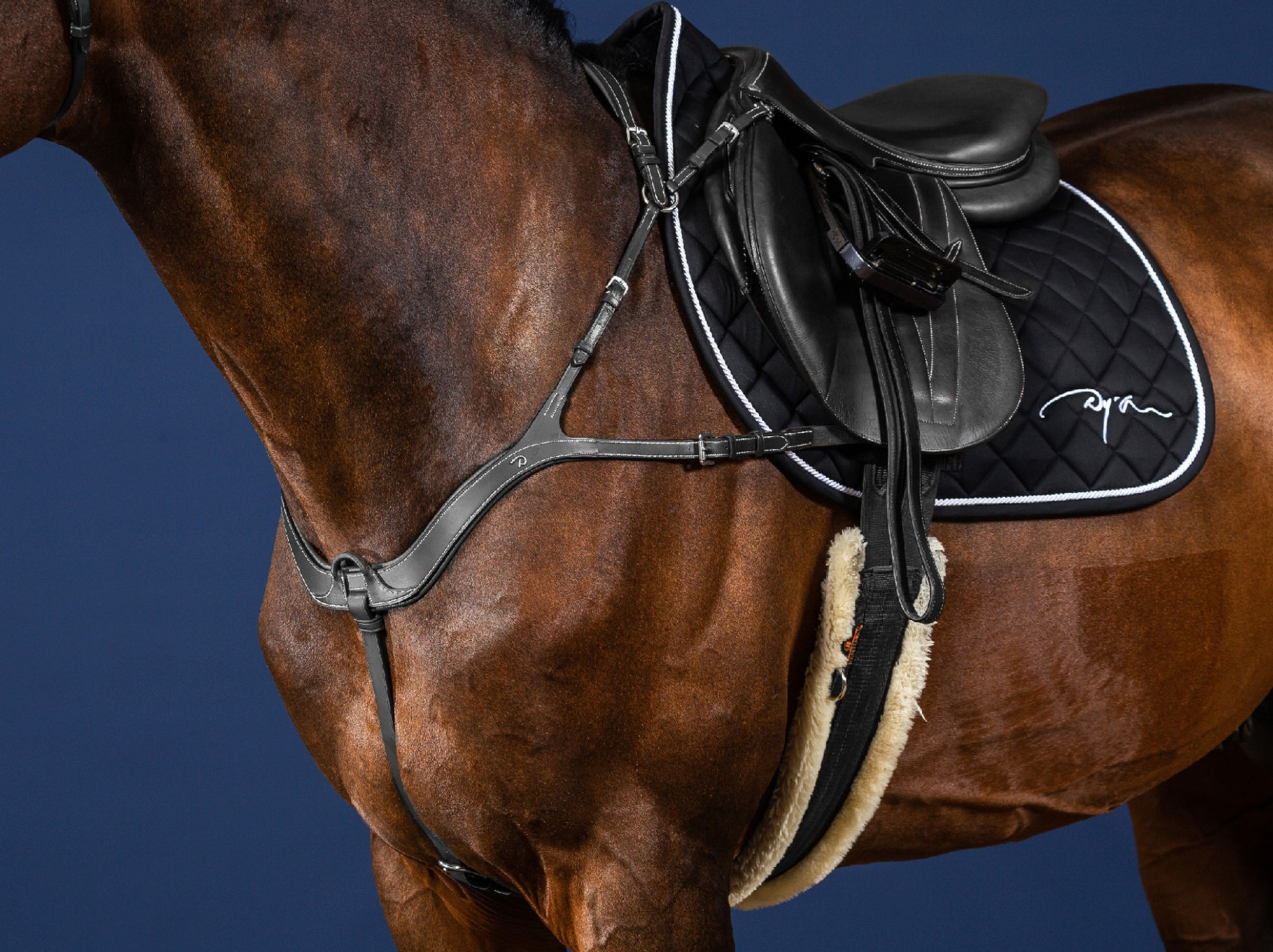 Dyon Anatomisches Vorderzeug US Jumping Collection