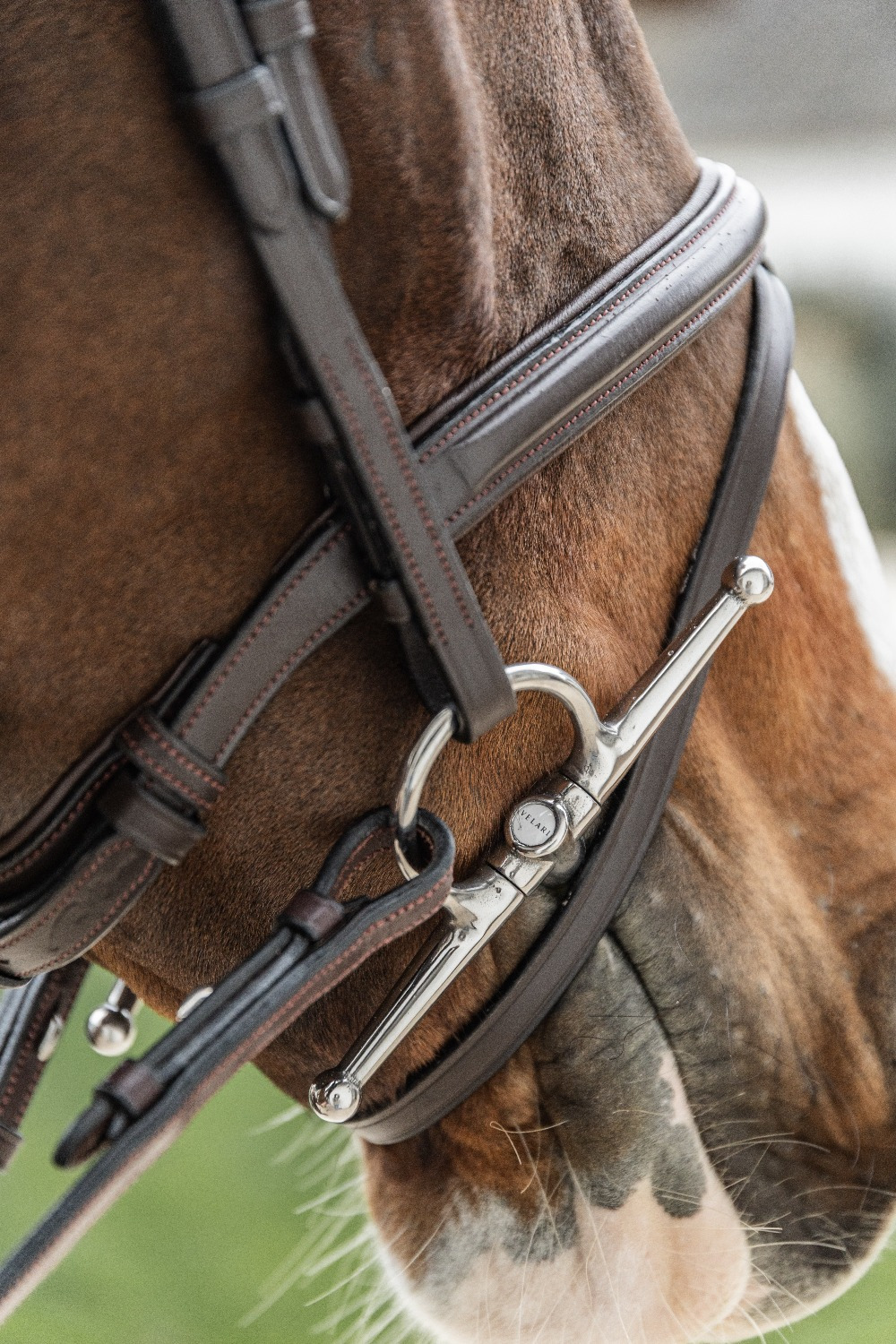 Velari Double Jointed Full Cheek Snaffle Sweet Iron 14 mm