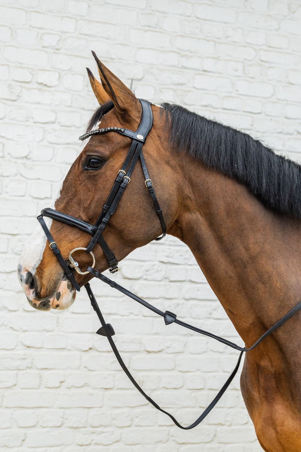 Velari Double Jointed Eggbutt Snaffle Sweet Copper 16 mm