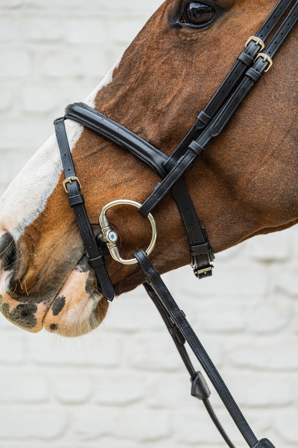 Velari Single-Jointed Eggbutt Snaffle Sweet Iron 14 mm