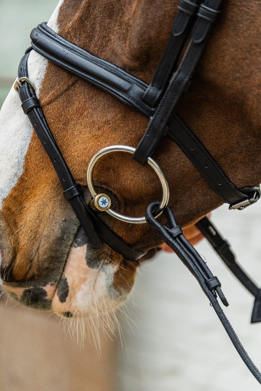Velari Double Jointed Loose Ring Snaffle Sweet Iron 16mm