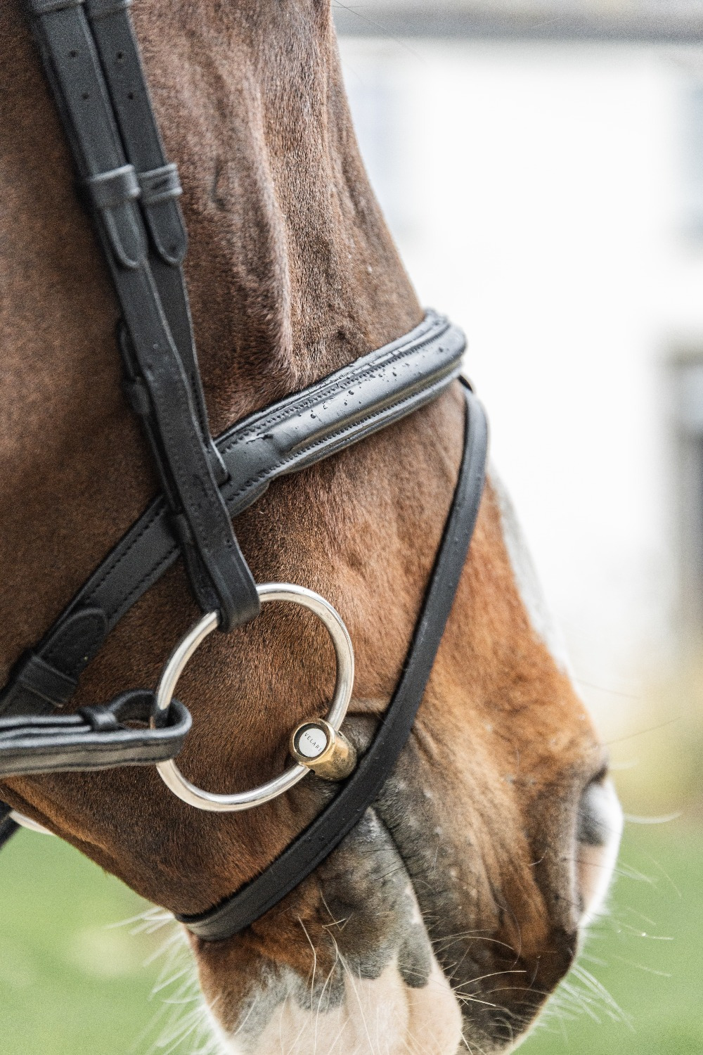 Velari Double Jointed Loose Ring Snaffle Sweet Copper 14 mm