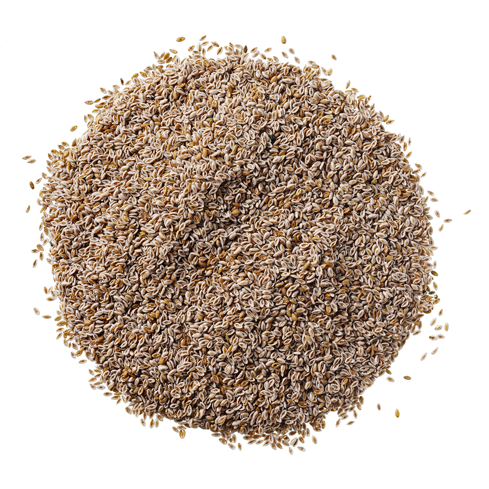 HorseFlex Psyllium Seed