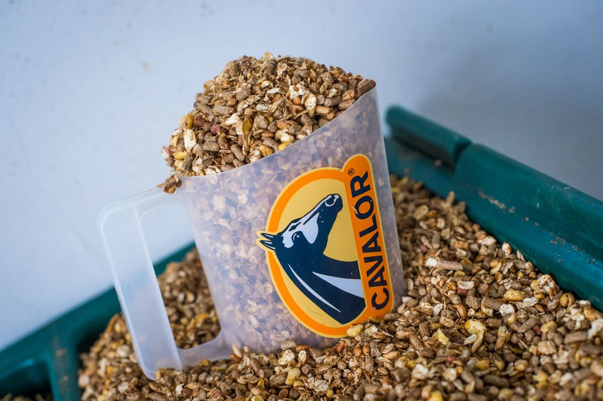 Cavalor Feed Scoop