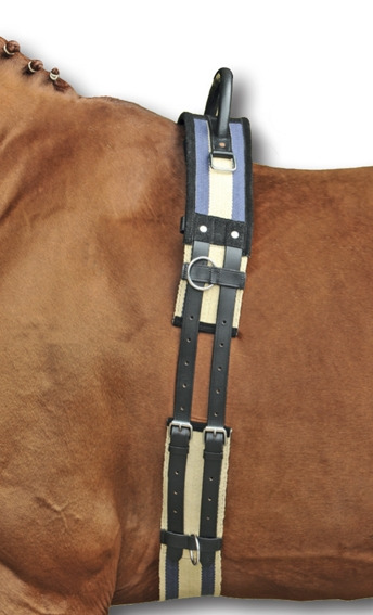 HKM vaulting girth