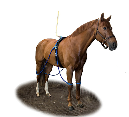 Equine Beinkühler komplett
