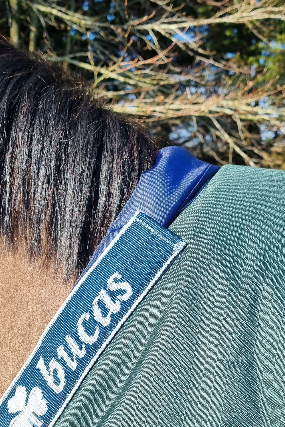 Bucas Wither Pad Schoftbeschermer