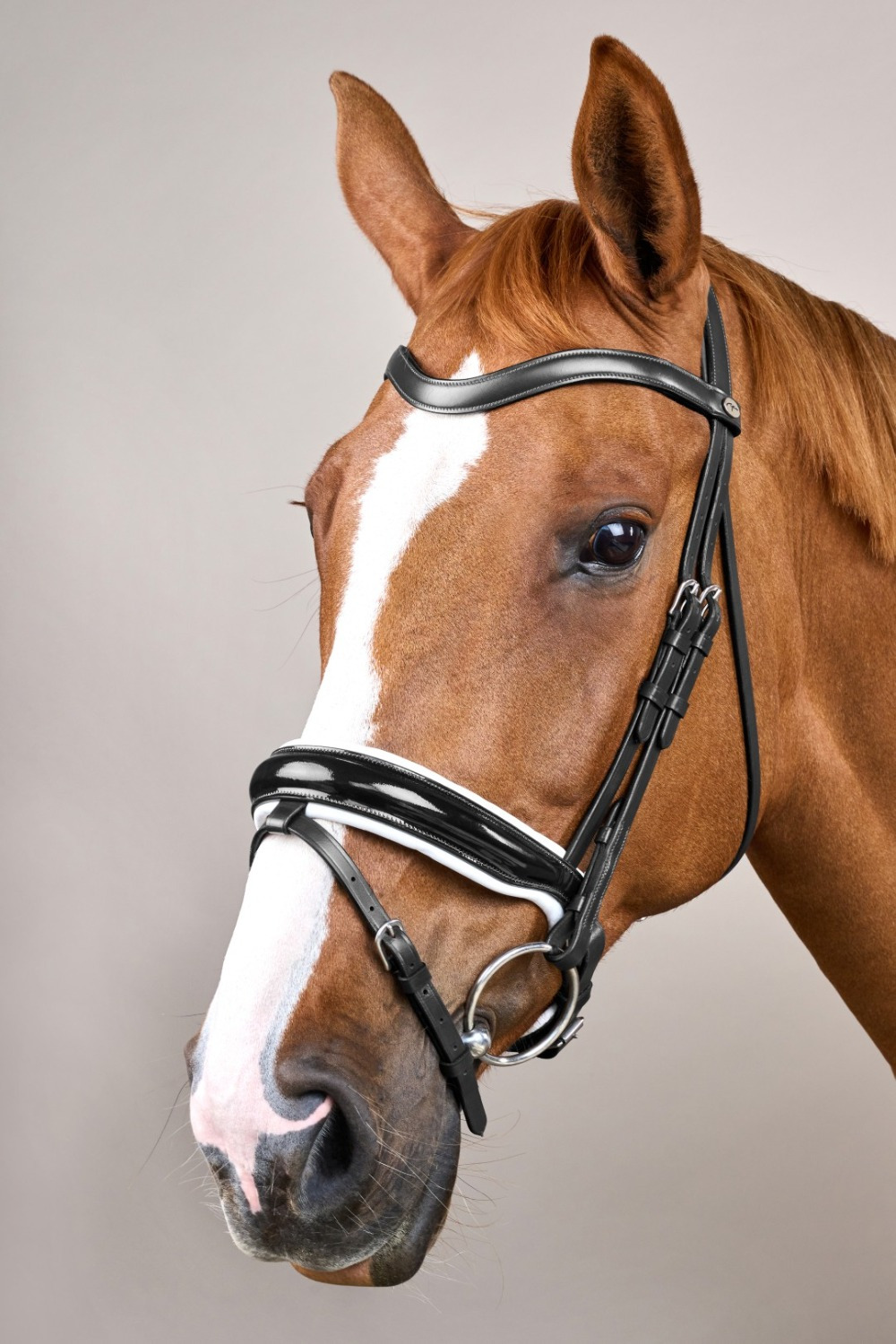 Dyon Trense mit breitem Lackleder-Kurbelnasenriemen, weiß unterlegt, Working Collection