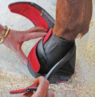 F.R.A. Cavallo Wickelbandagen