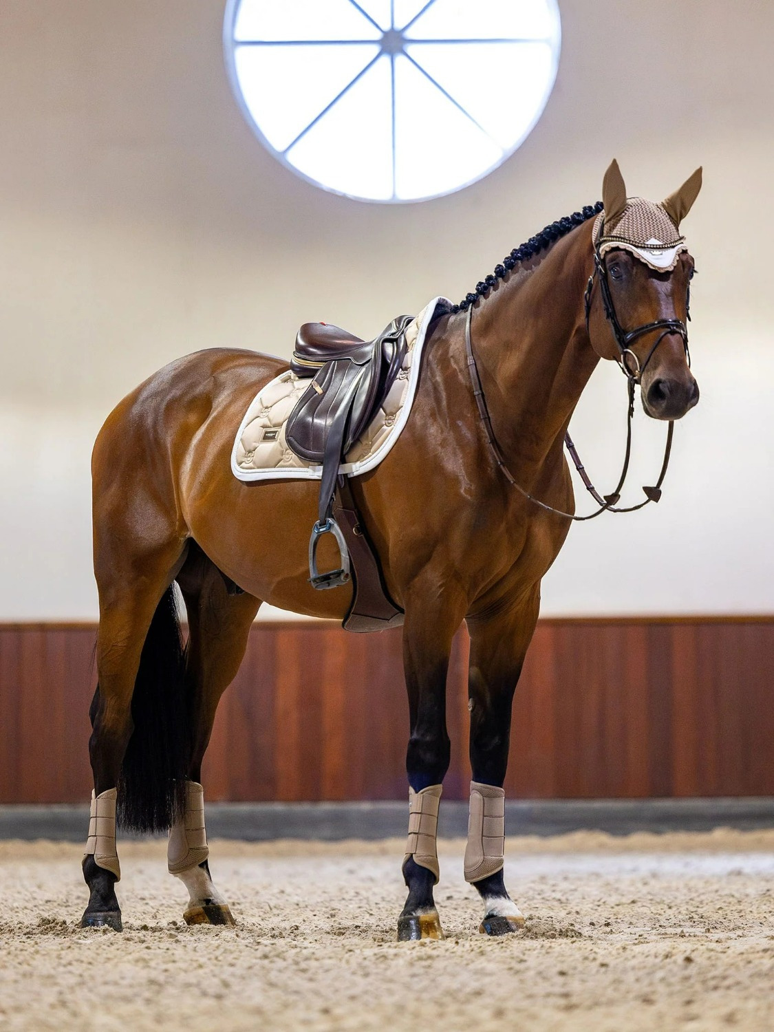 Equestrian Stockholm Jump Saddle Pad Sand