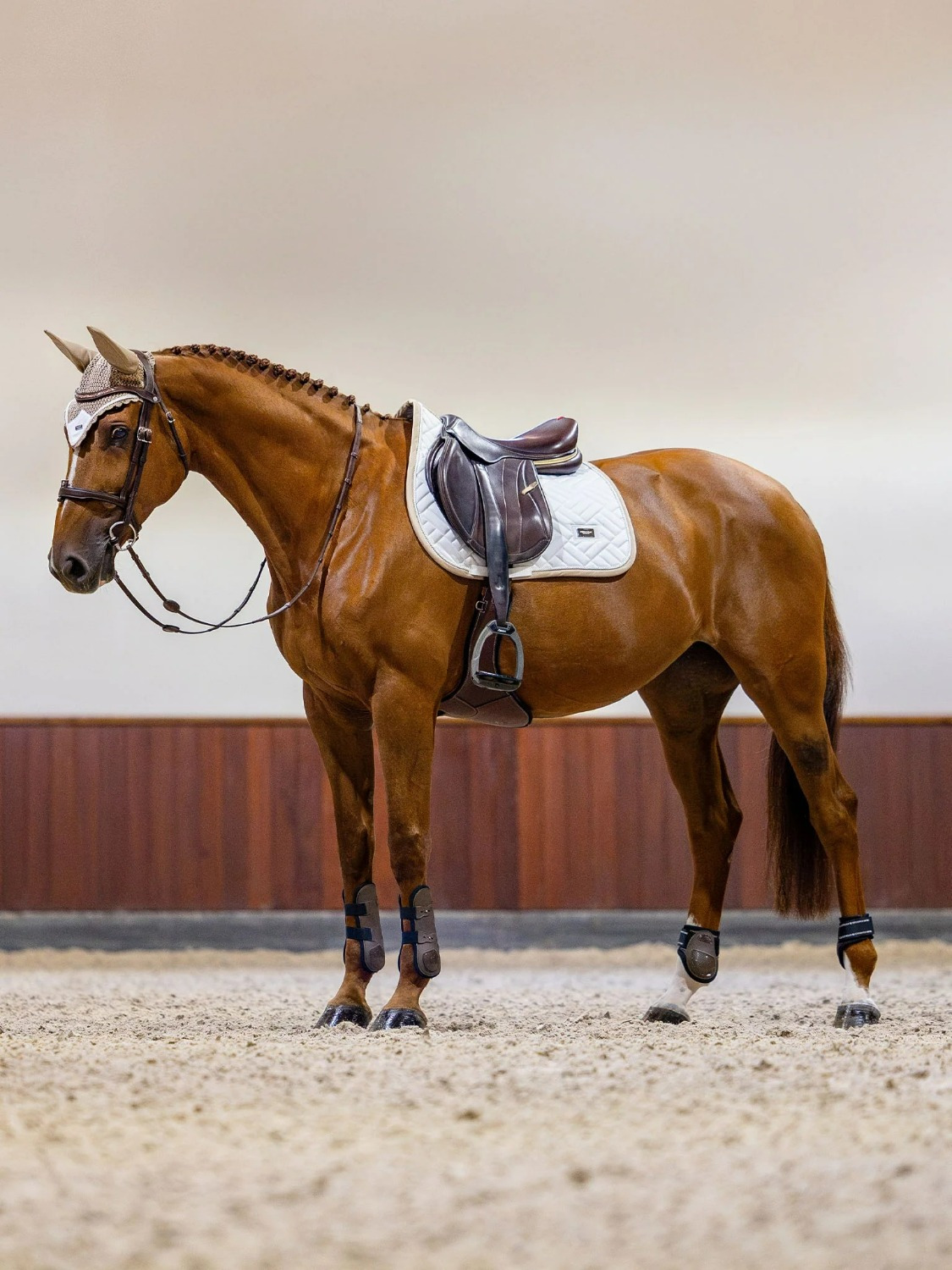 Equestrian Stockholm Jumping Saddle Pad Modern White Sand