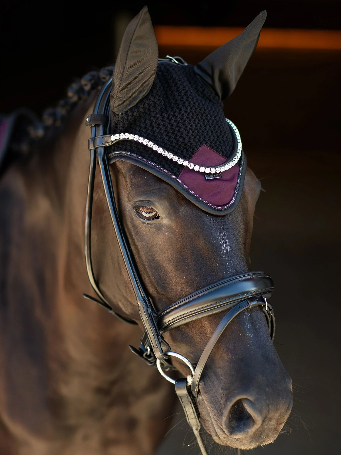 Equestrian Stockholm Ear Net Modern Purple Night