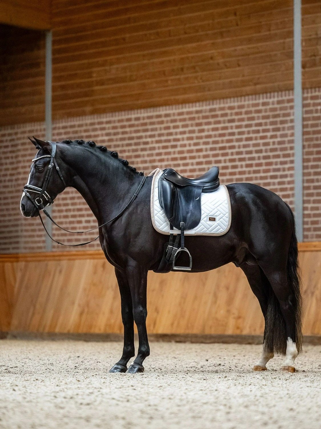 Equestrian Stockholm Dressage Saddle Pad Modern White Sand