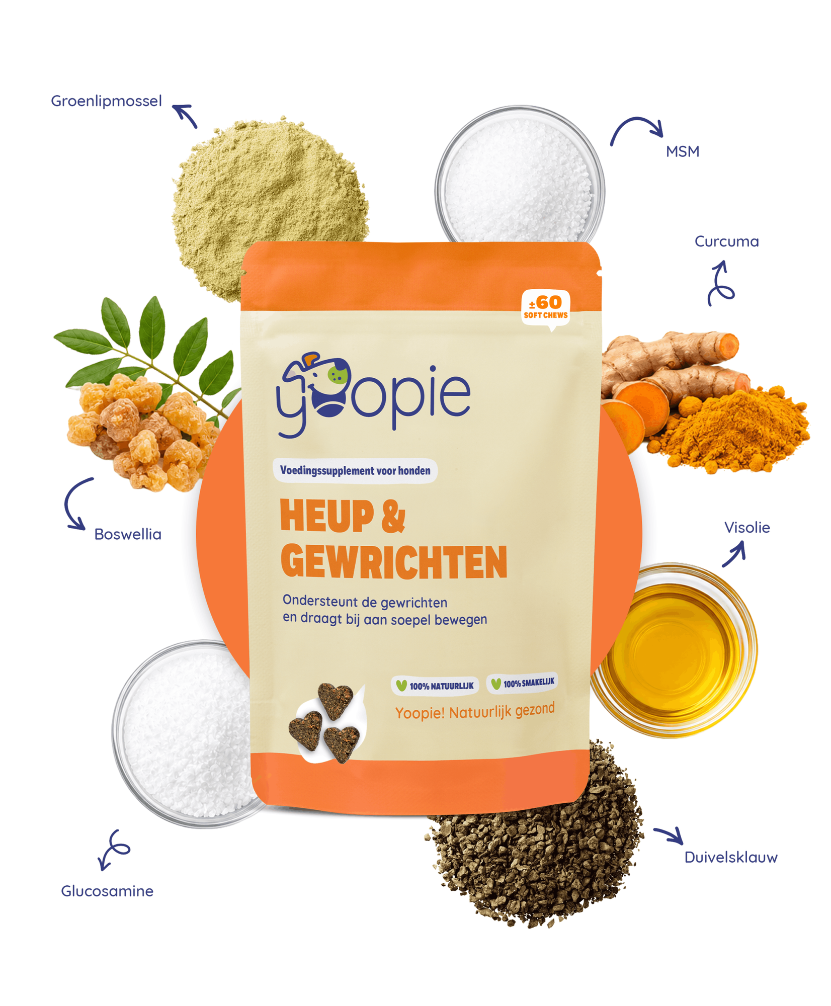 Yoopie Heup & Gewrichten