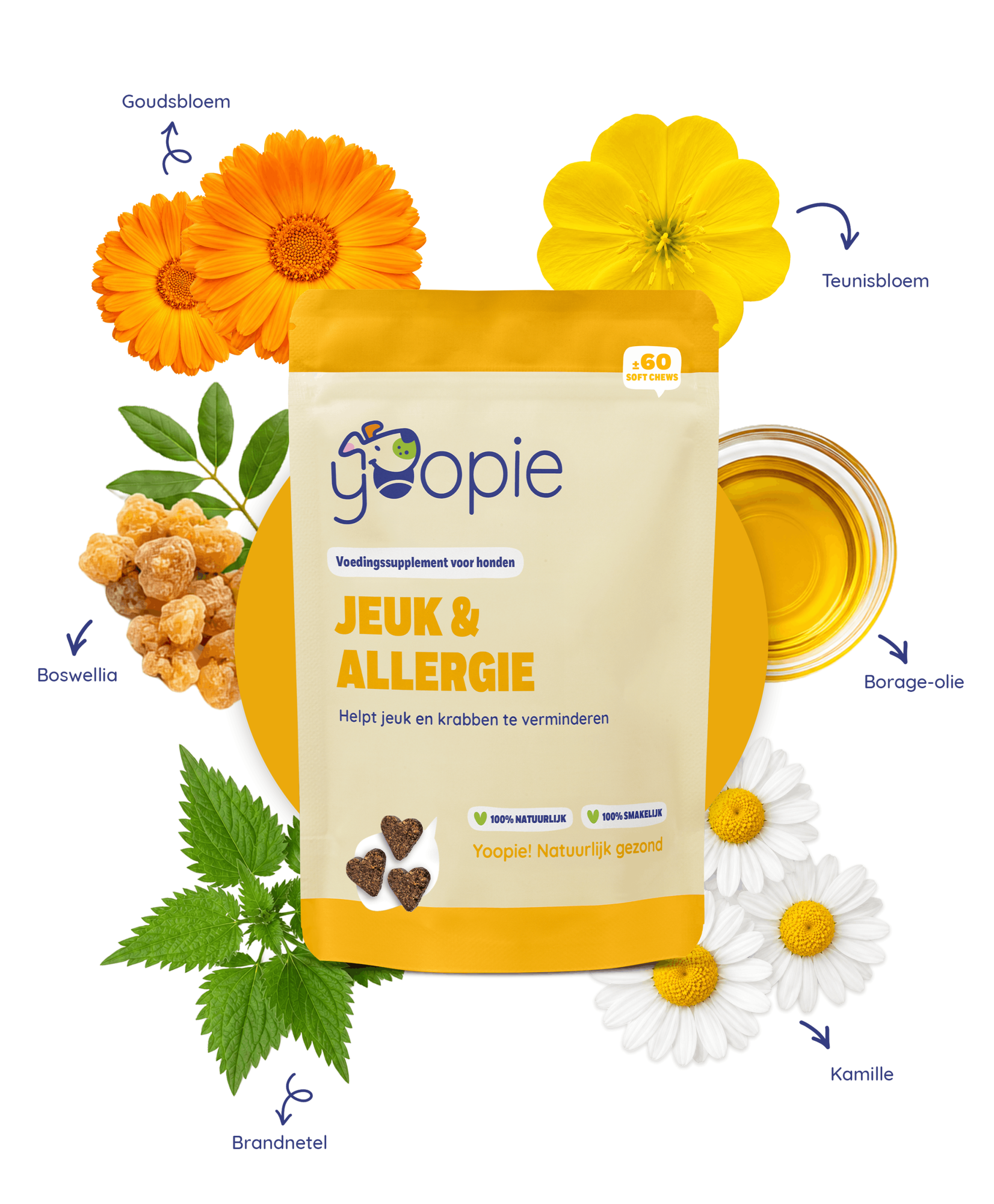 Yoopie Jeuk & Allergie