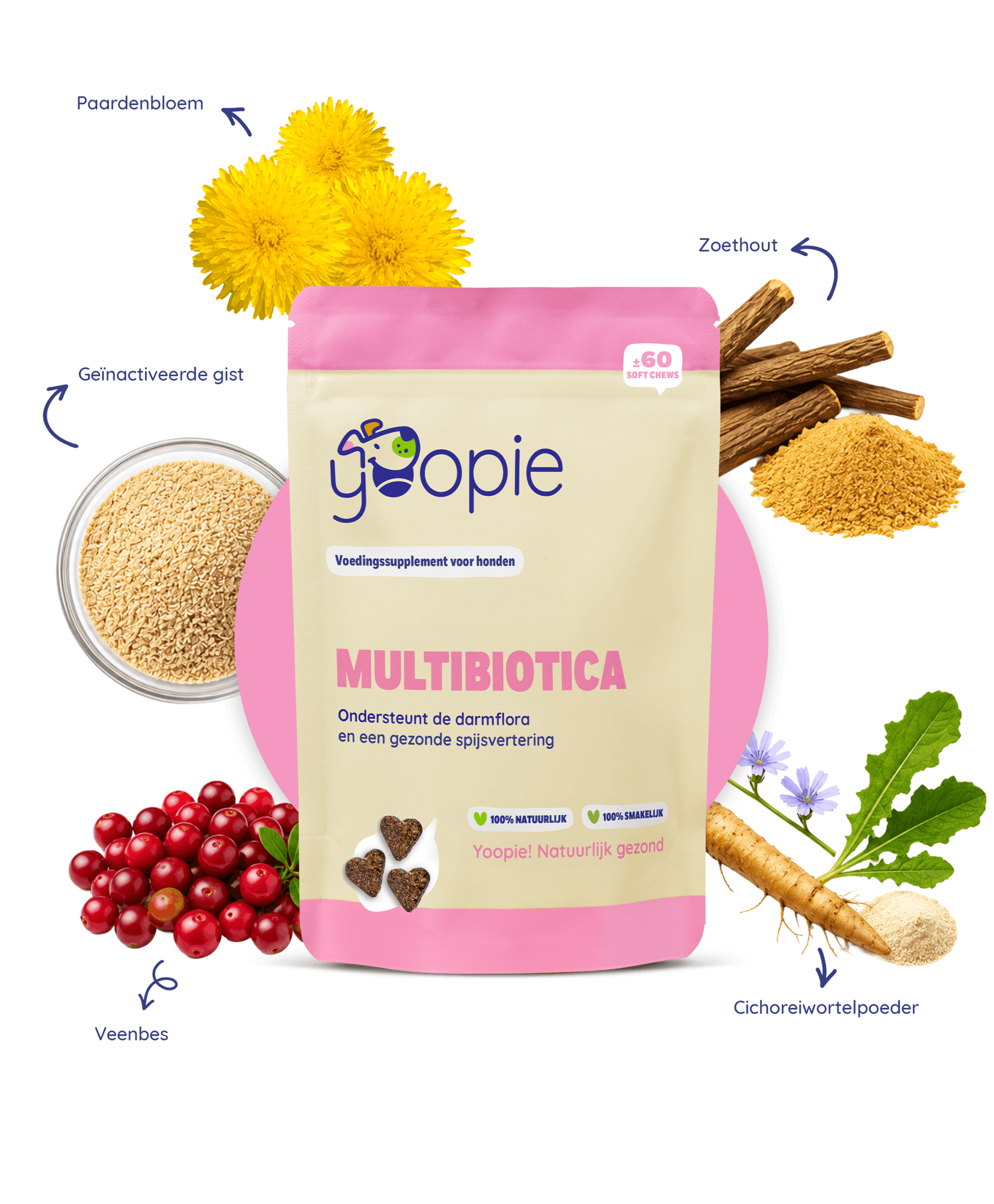Yoopie Multibiotica