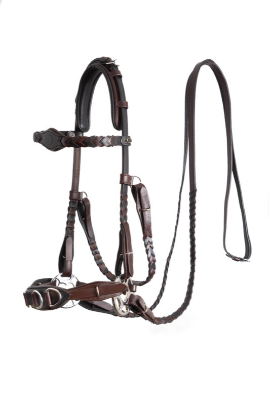 F.R.A. Hackamore Zaum Zoë