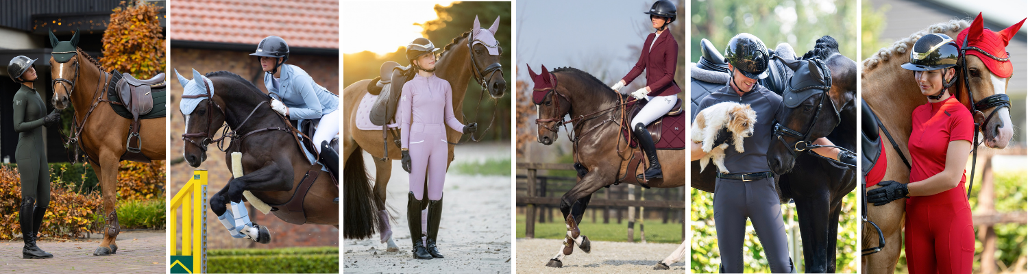 Maximilian Equestrian