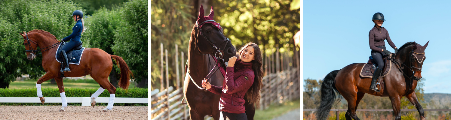 Equestrian Stockholm