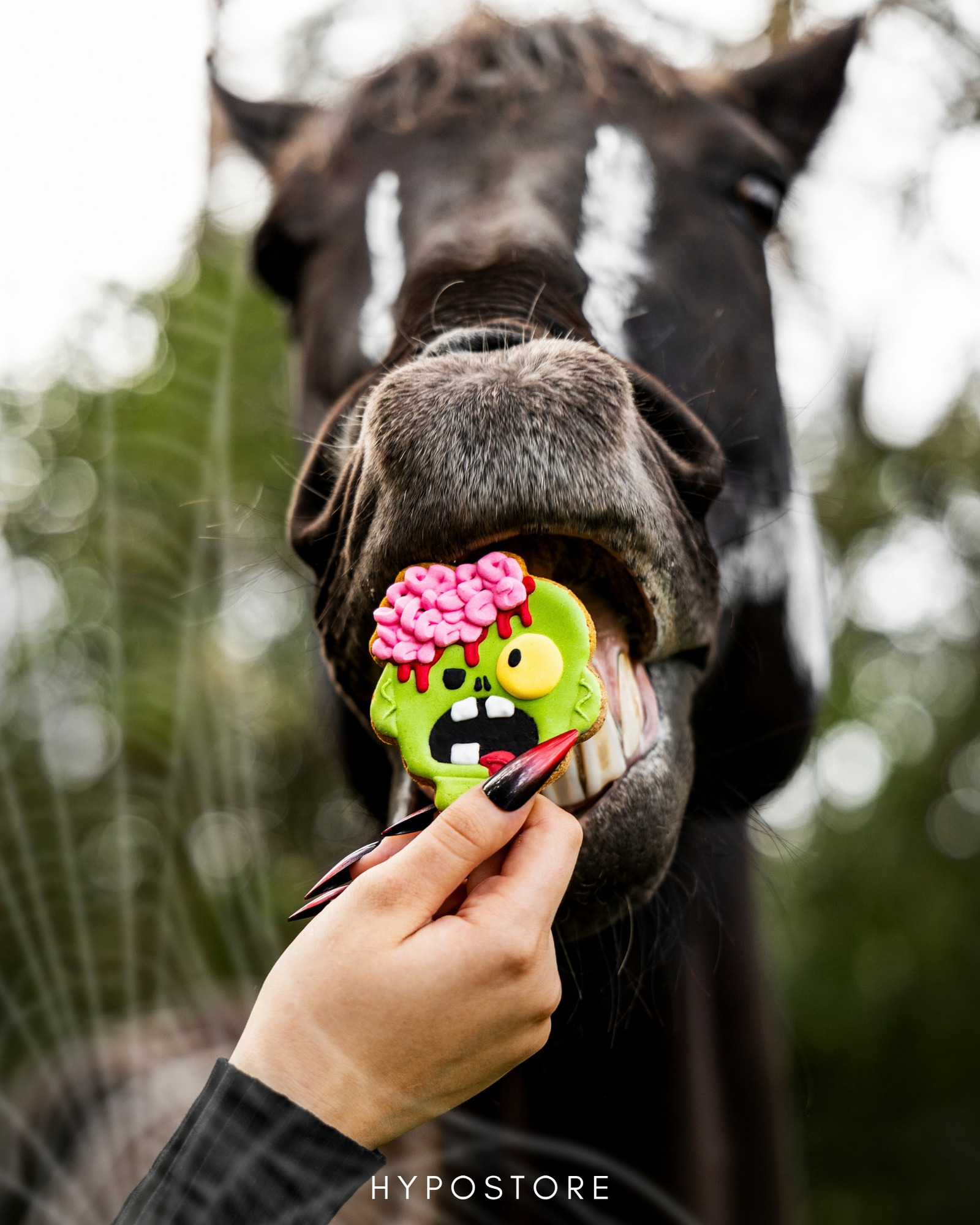 Spooky season, but make it horse treats 🎃👻🐴