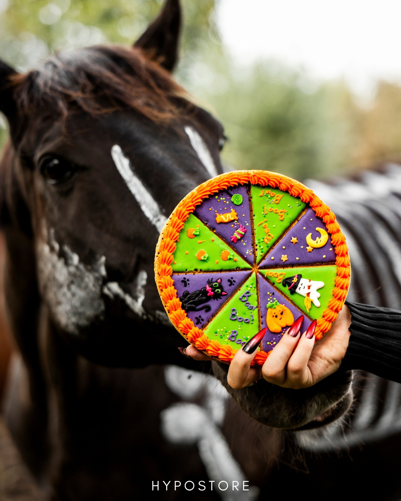 Spooky season, but make it horse treats 🎃👻🐴