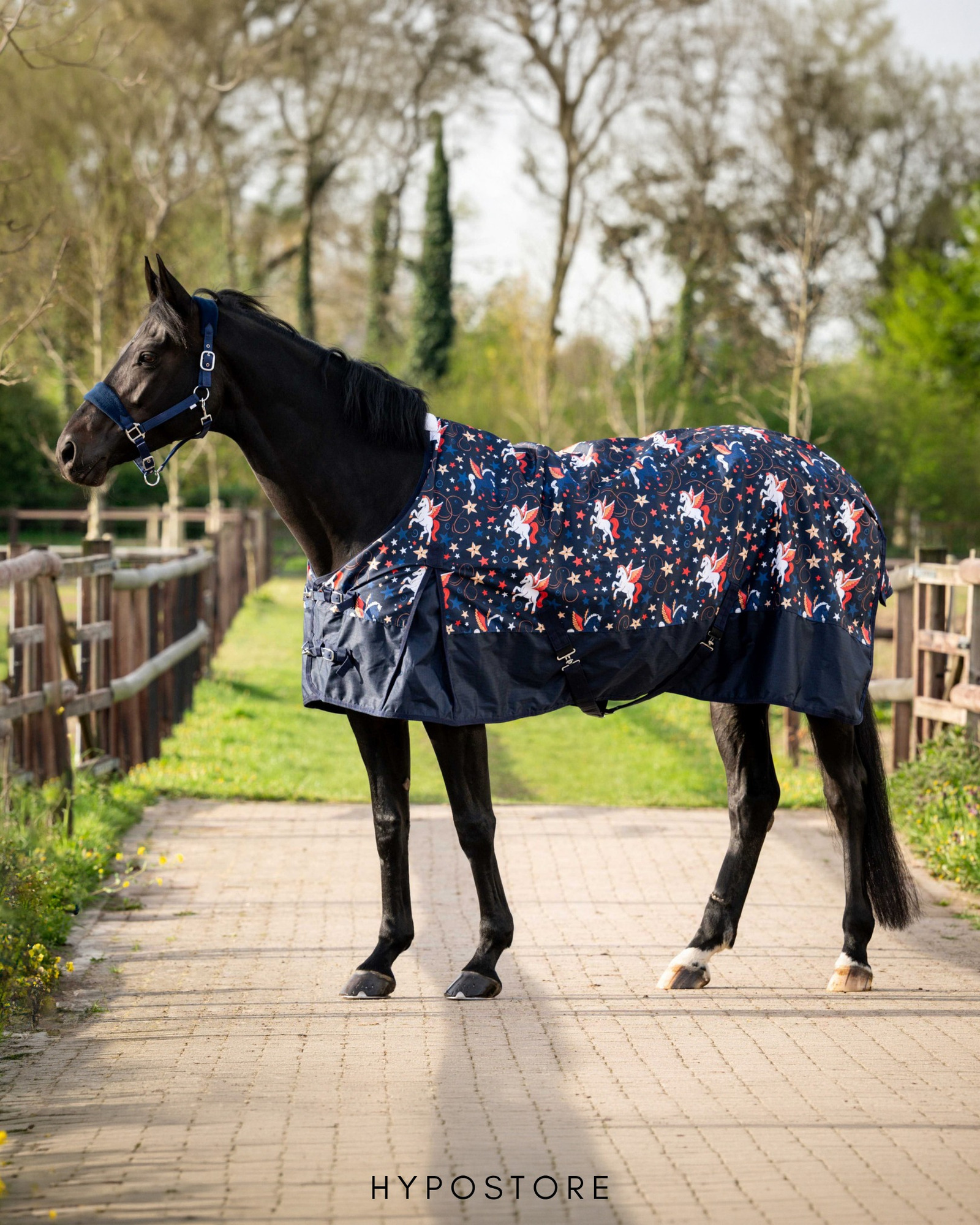 New HB turnout rugs, now with a little more personality 🤠🪽✨