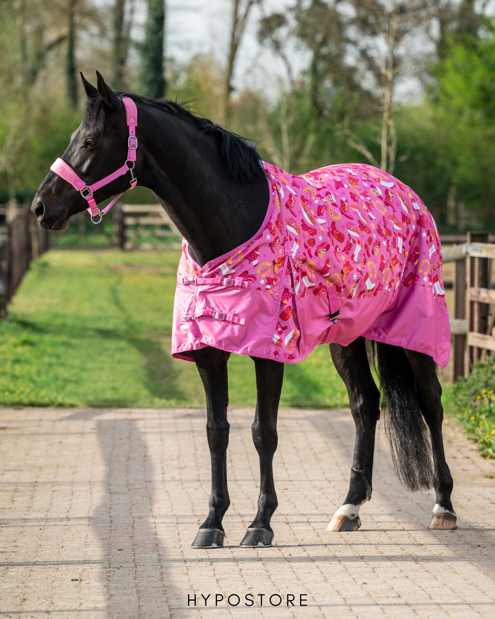New HB turnout rugs, now with a little more personality 🤠🪽✨