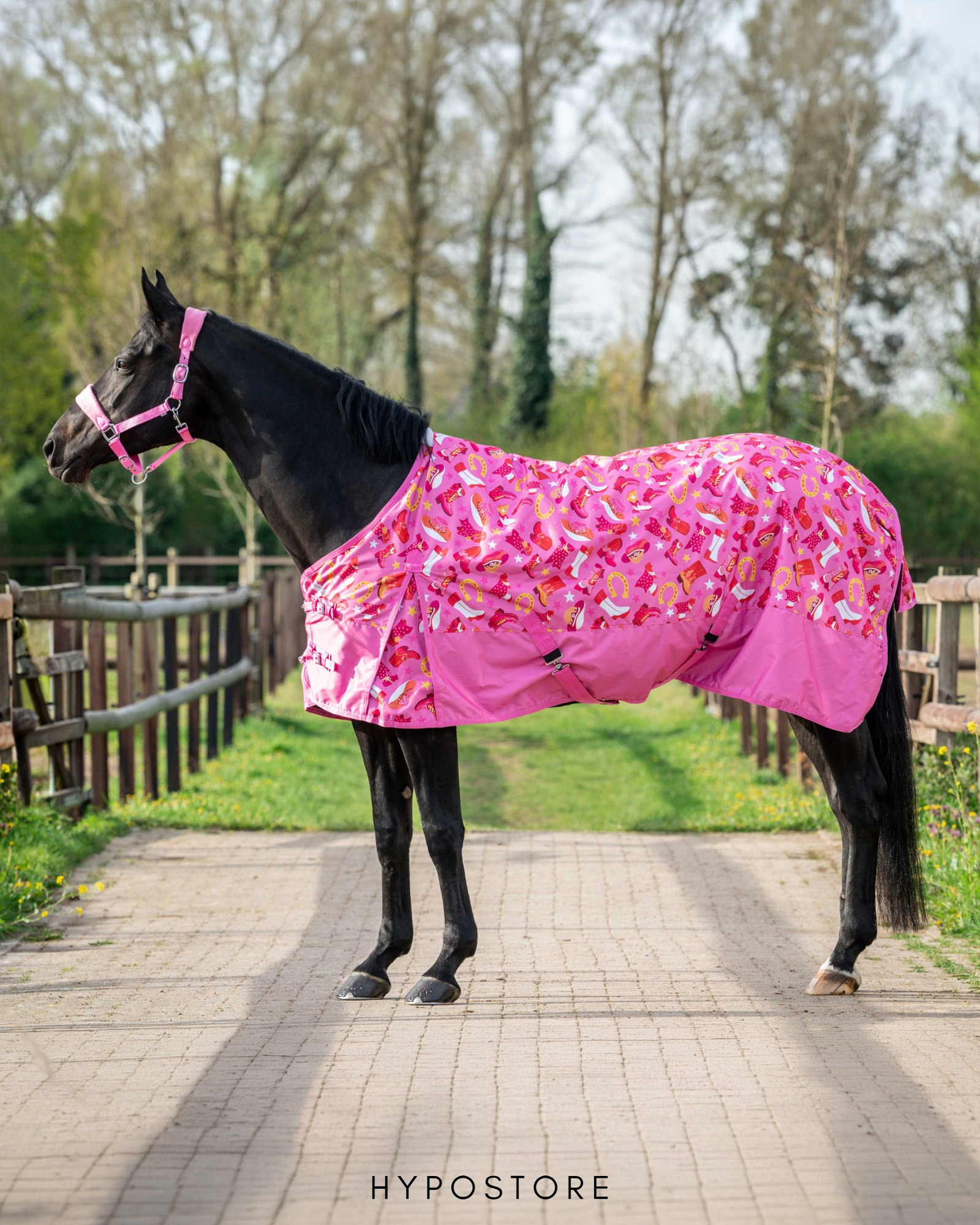 New HB turnout rugs, now with a little more personality 🤠🪽✨