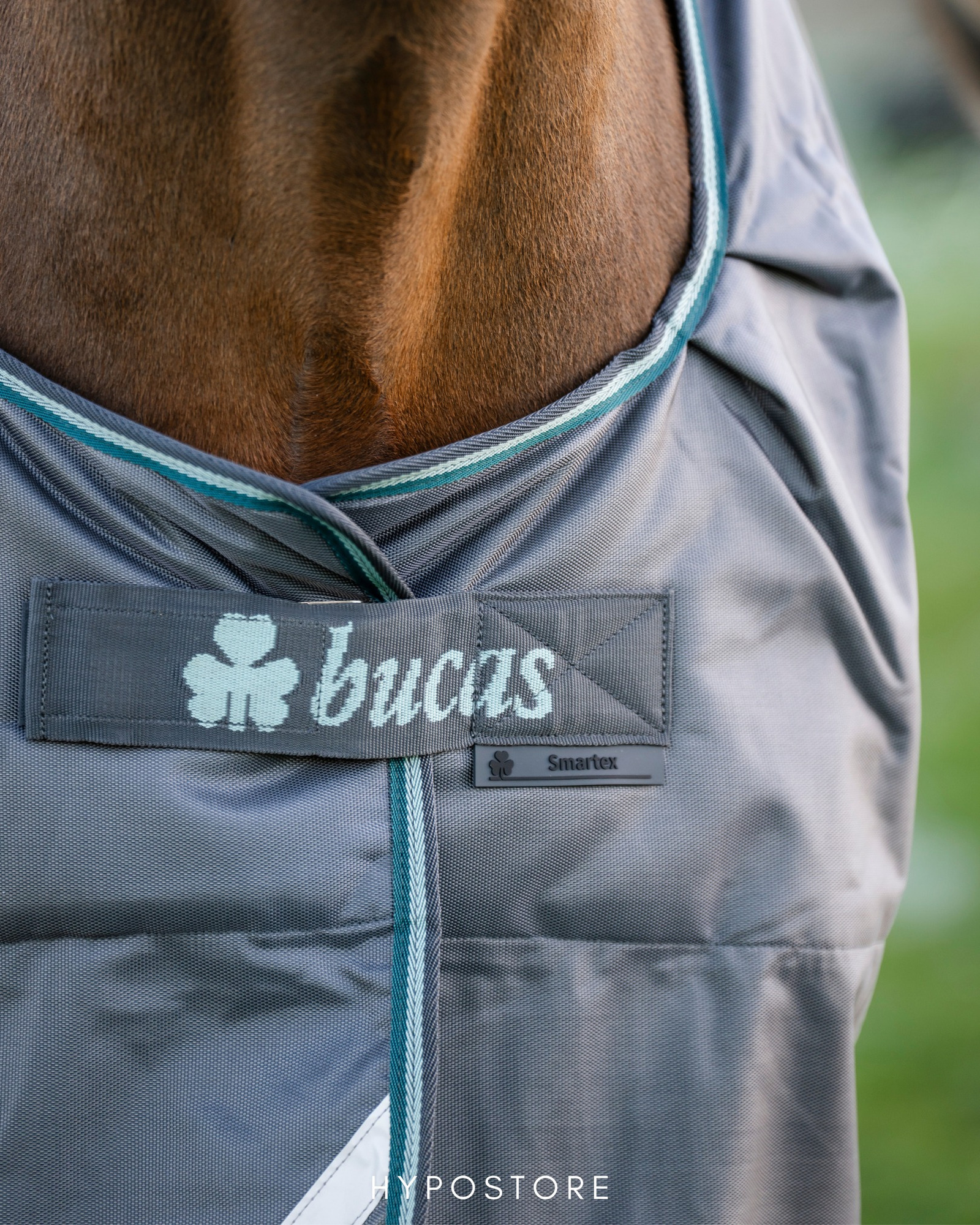 A Bucas classic, now in a new colour 🤎🩵