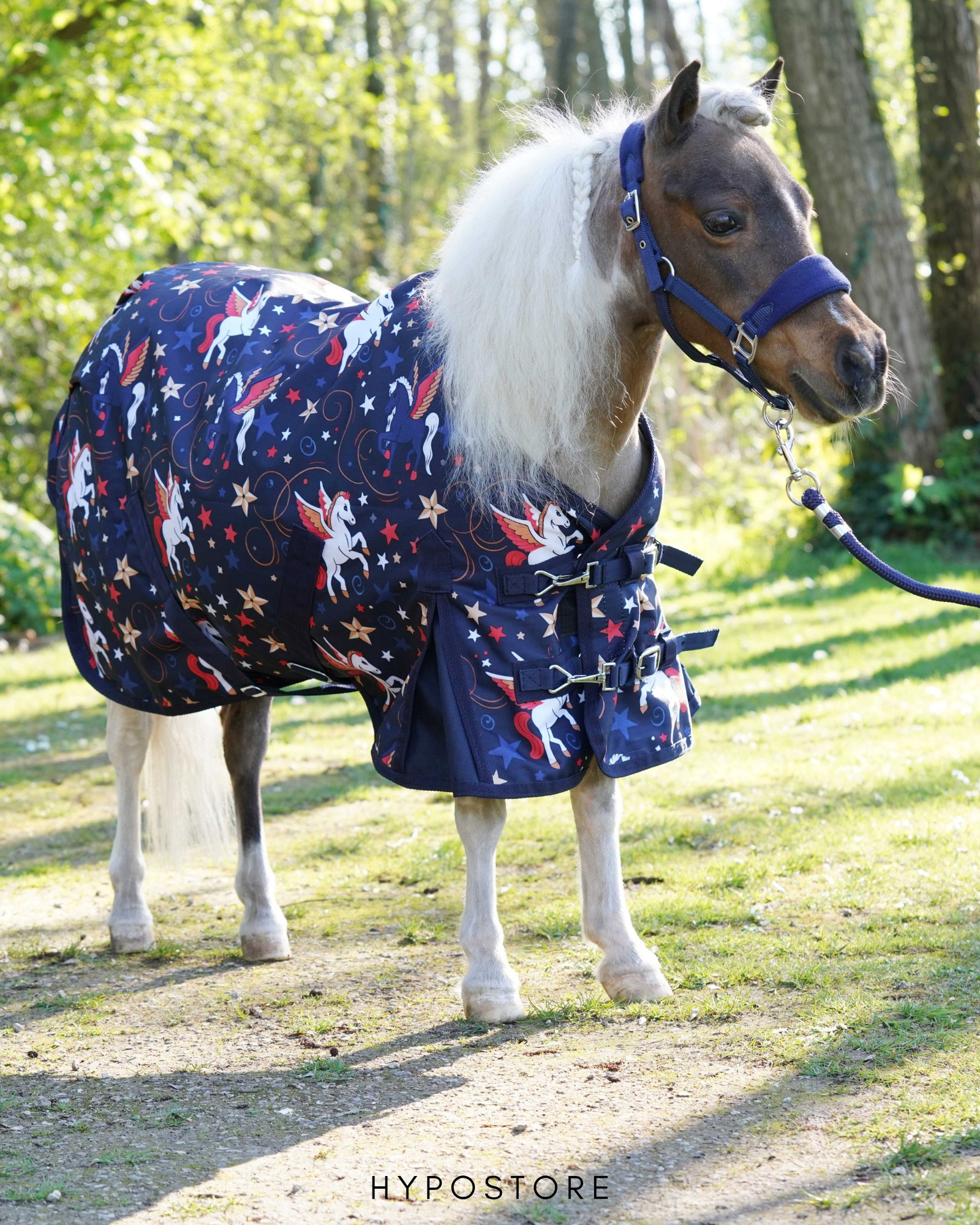 New HB turnout rugs, now with a little more personality 🤠🪽✨