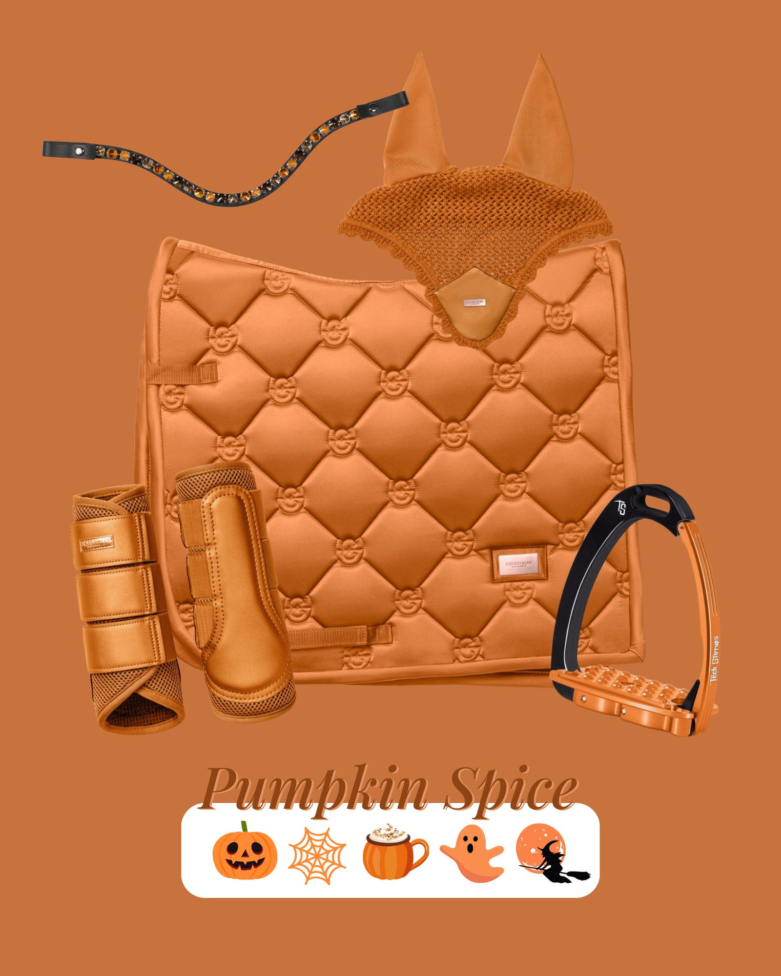 Halloween, but make it matching 🎃🦇 We put together four spooky looks for your horse