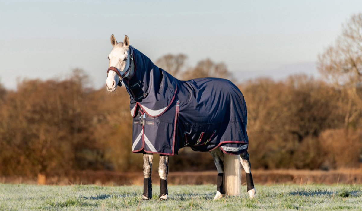 Review: LeMieux Kudos Turnout Rug 50gr - By Femke Boerma-Maats