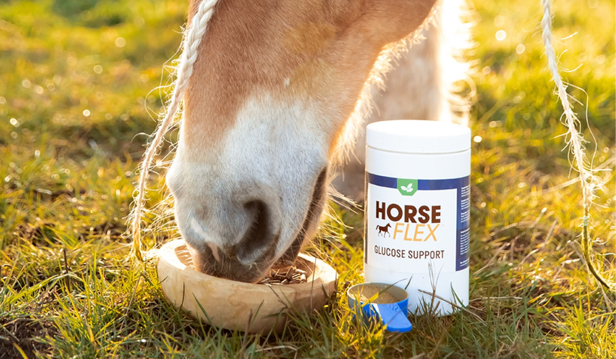 HorseFlex: Powerful, natural supplements for a vital horse