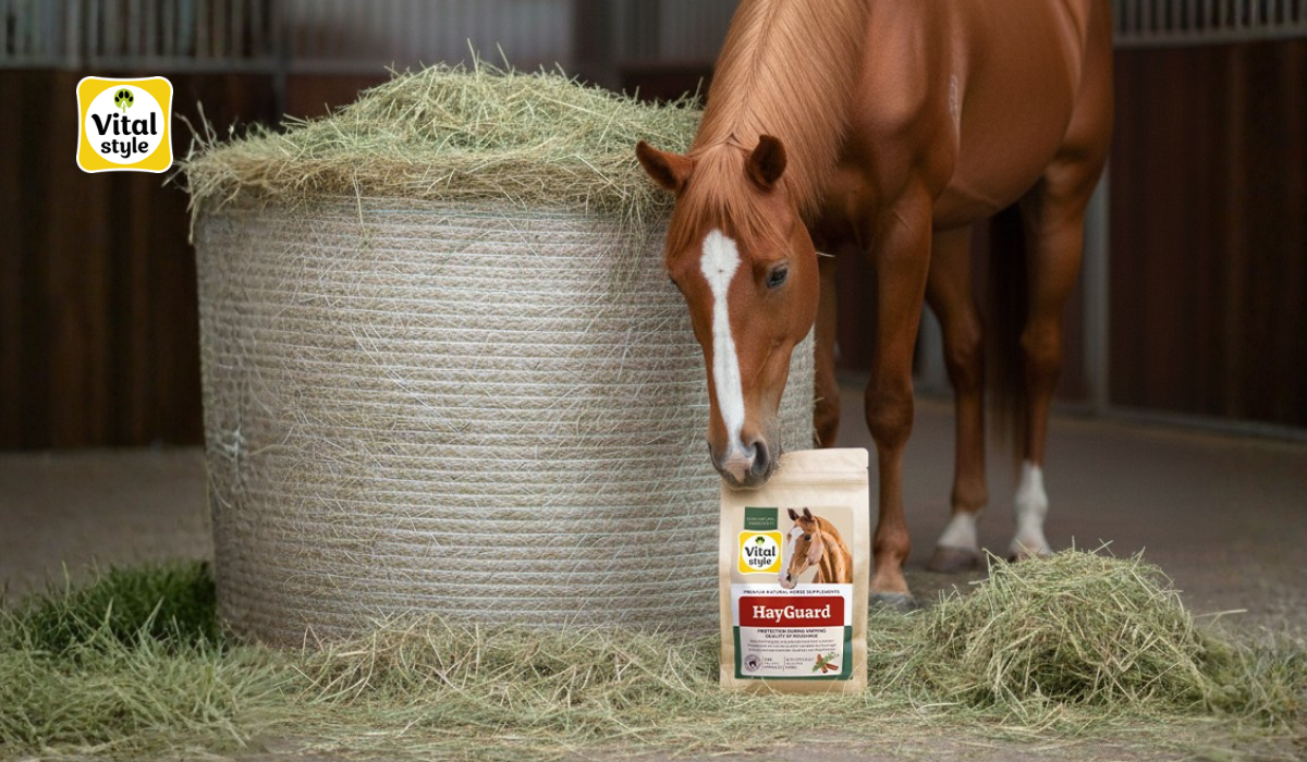 Forage not at its best? Here’s how Vitalstyle HayGuard can support your horse