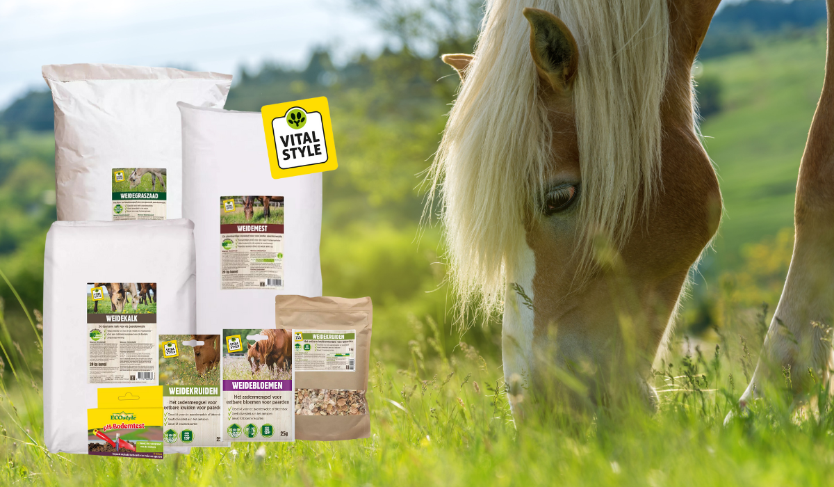 Zorg voor een gezonde en diverse paardenweide met VITALstyle!