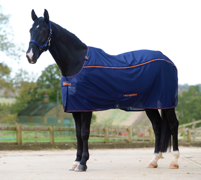Gastblog by Bucas: Bucas Therapy Light