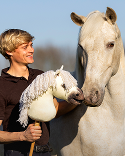 Hobby Horsing