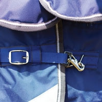 WeatherBeeta quick clip