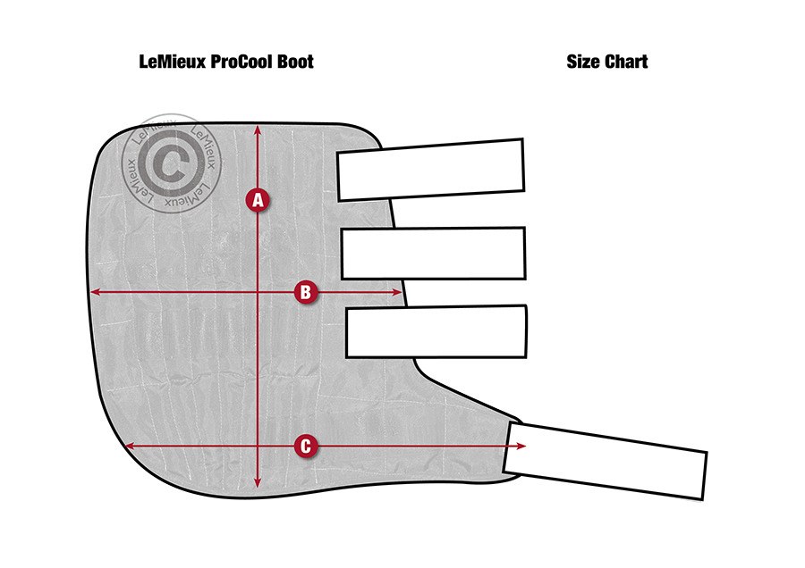 LeMieux ProCool Cold Water Boots